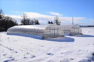 雪対策2-1.jpg